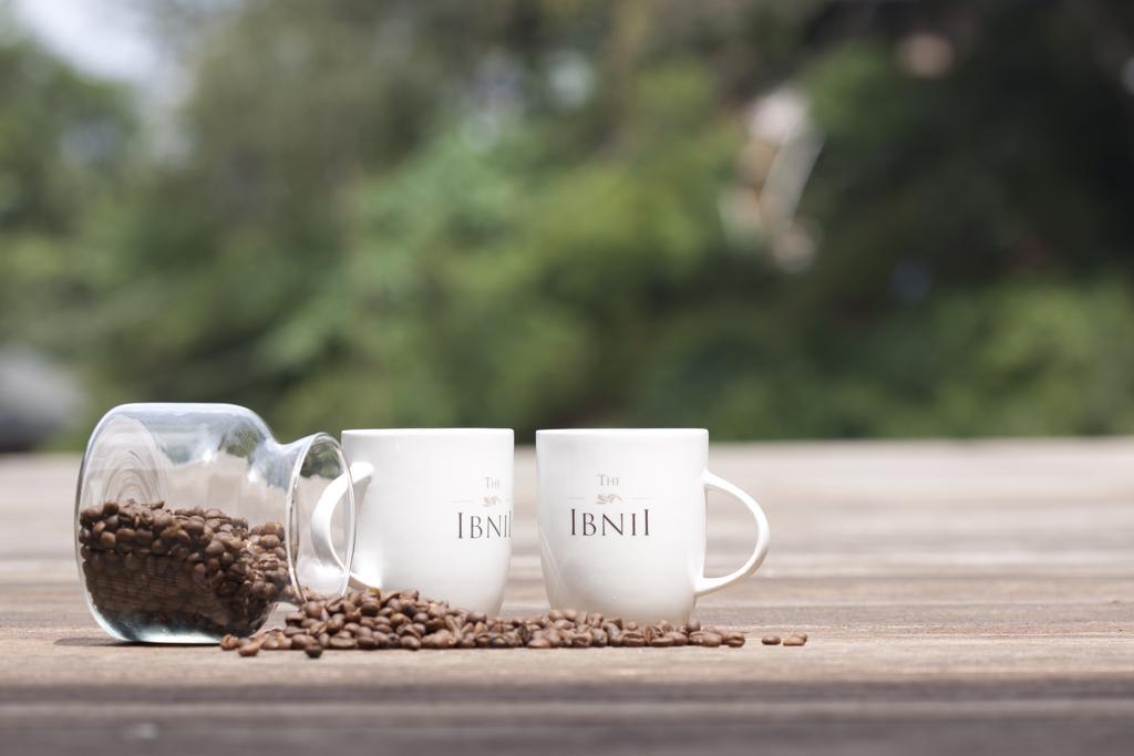 The Ibnii - Eco Luxury Resort Madikeri Εξωτερικό φωτογραφία